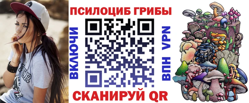 дарнет шоп  даркнет Telegram  Псилоцибиновые грибы мицелий  Мончегорск 